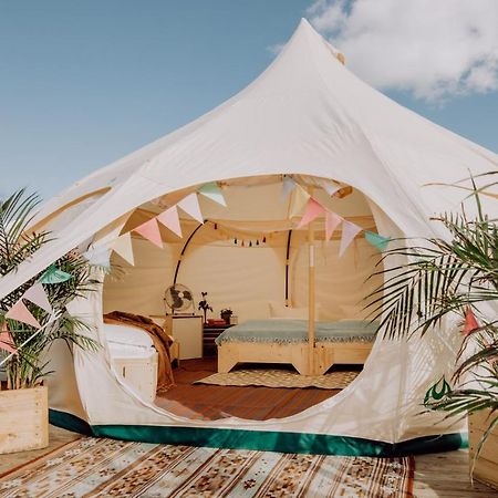 Raus Und Gut Glamping Am Graebendorfer See Drebkau Ngoại thất bức ảnh